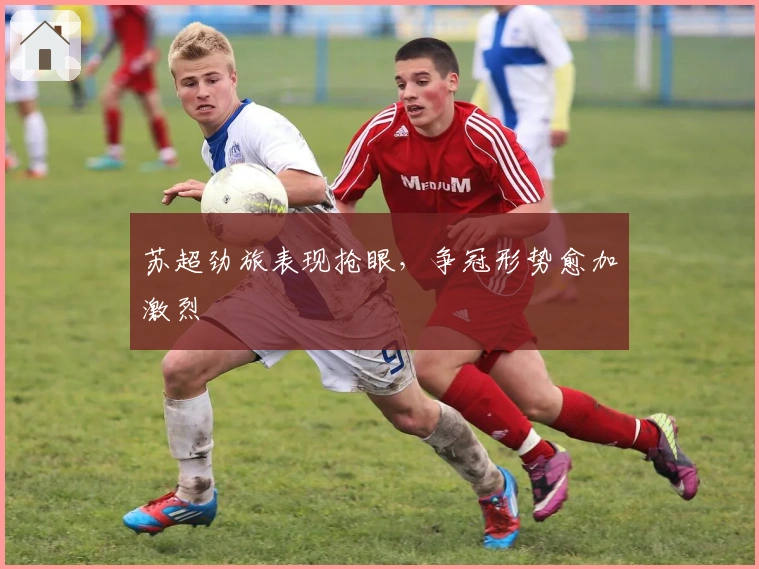 苏超劲旅表现抢眼，争冠形势愈加激烈